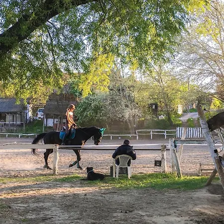 Suburbia - Pool - Hot Tub - Bbq - Parking Villa
