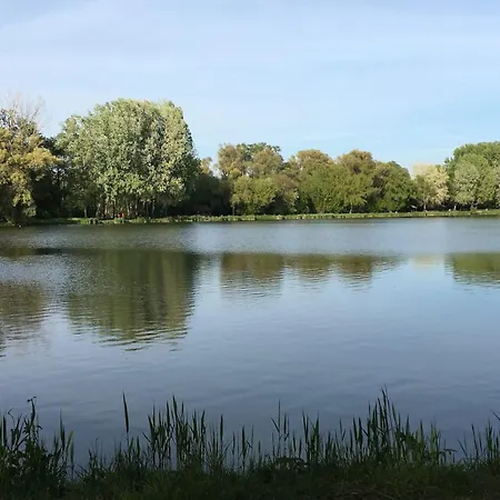 Villa Suburbia Budapest - Pool - Bbq - Parking فيلة *