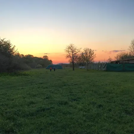 Suburbia - Pool - Hot Tub - Bbq - Parking Βουδαπέστη